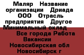 Маляр › Название организации ­ Дриада, ООО › Отрасль предприятия ­ Другое › Минимальный оклад ­ 18 000 - Все города Работа » Вакансии   . Новосибирская обл.,Новосибирск г.